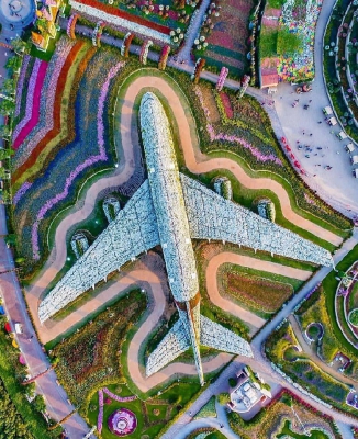 Самолет из 5 миллионов цветов. Дубаи, ОАЭ