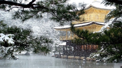 Зима в парке Киото, Япония